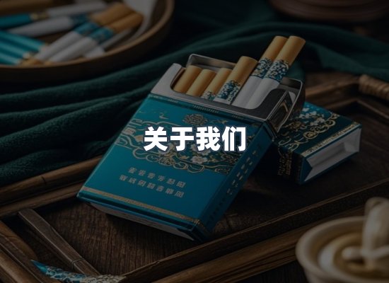 关于我们
